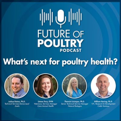 The Future of Poultry Health podcast launched