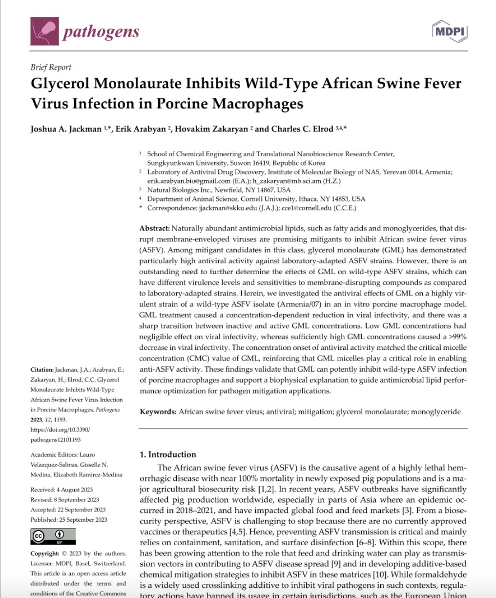 New GML Research with Wild-Type African Swine Fever Virus Published
