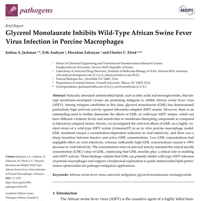 New GML Research with Wild-Type African Swine Fever Virus Published