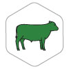 Green beef cow icon