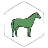 Green Icon of Horse